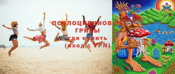 метадон Ладушкин