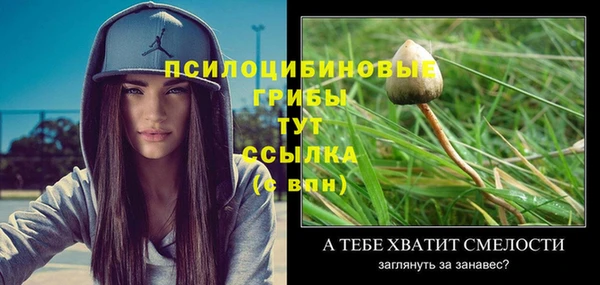 ешки Лагань