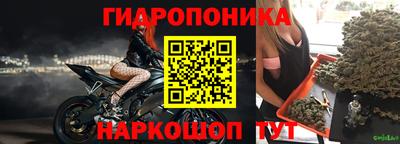 дмт Донской