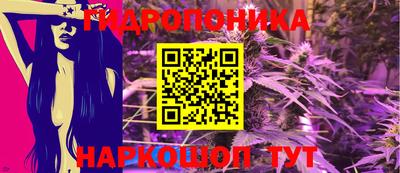 дмт Донской